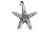 WH0171-CHARM : Starfish
