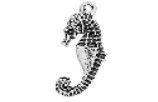 WH0172-CHARM : Seahorse