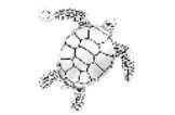 WH0173-CHARM : Turtle