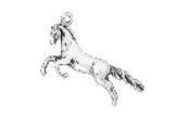 WH1452-CHARM : Horse