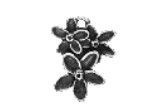 WH0191-CHARM : Flowers