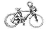 WH1286-CHARM : Bike