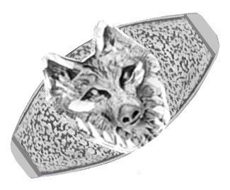 WH2846-Turq SS : 11