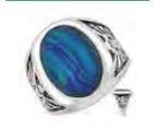 WH1562-Paua SS