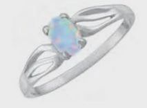 WH4453-Opal SS