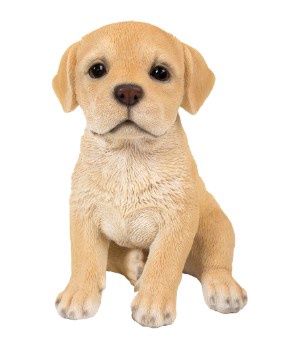 PA0106-Puppy Fig : Lab