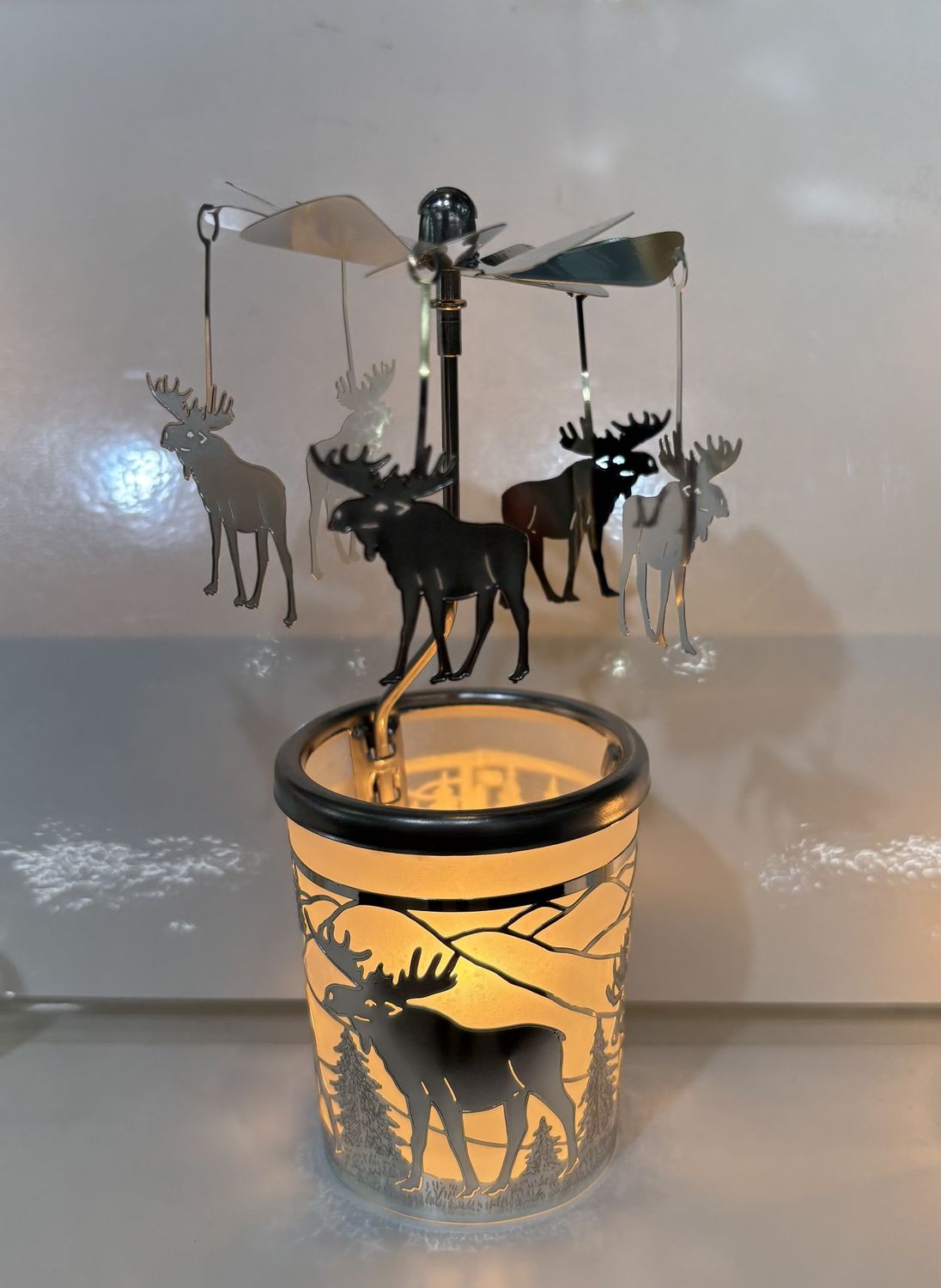 HV0010 - Carousel : Moose