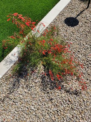 Gravel installation and rock placement