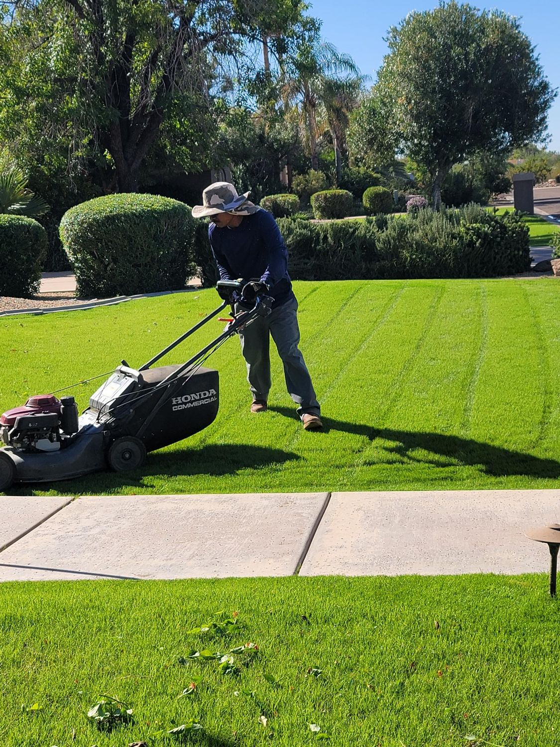 Lawn mowing, seeding, and sod removal