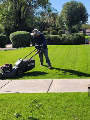 Lawn mowing, seeding, and sod removal