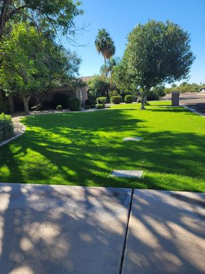 Sod installation