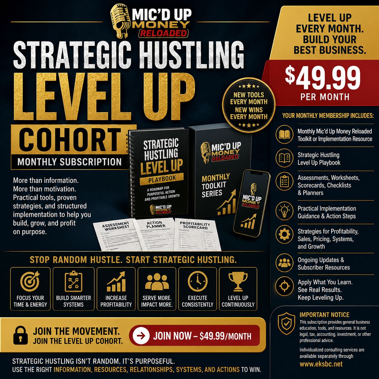 Strategic Hustling Level Up Cohort