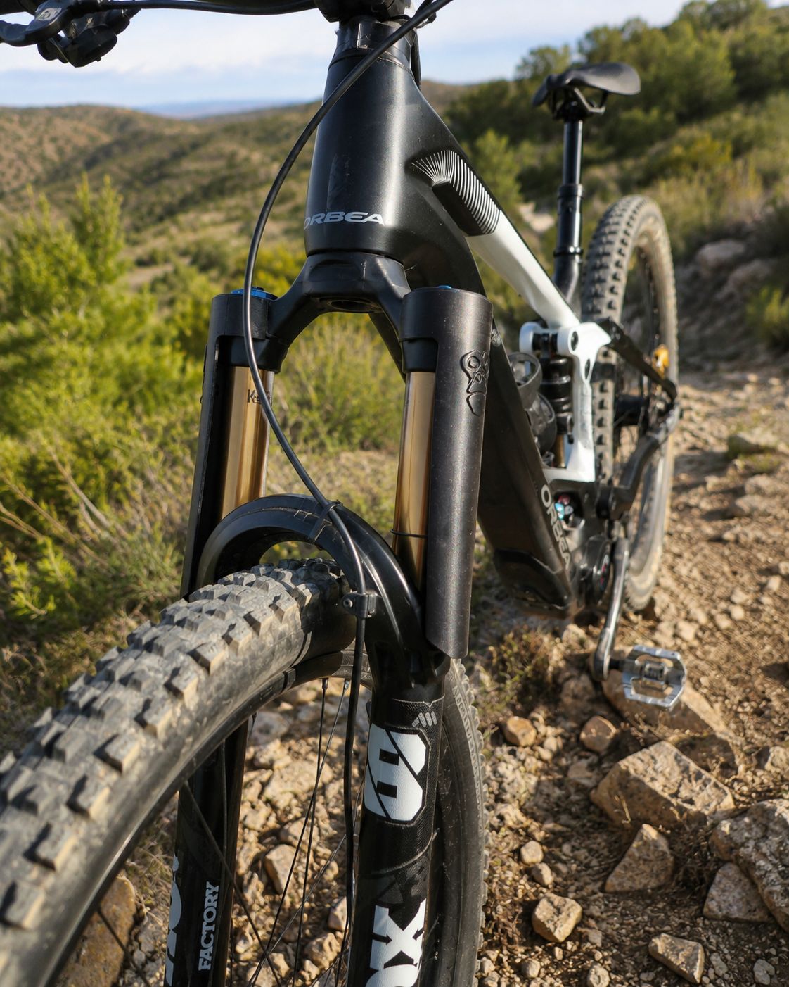Protector de Horquilla MTB Gorila Guard | Suspensión Protegida