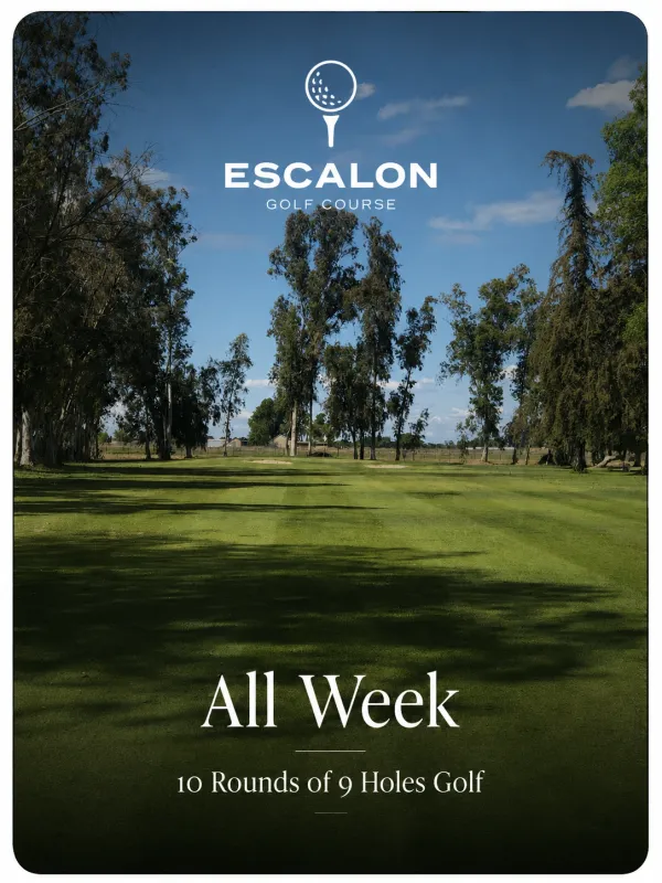 All Week 10 Rounds of 9 Holes Golf