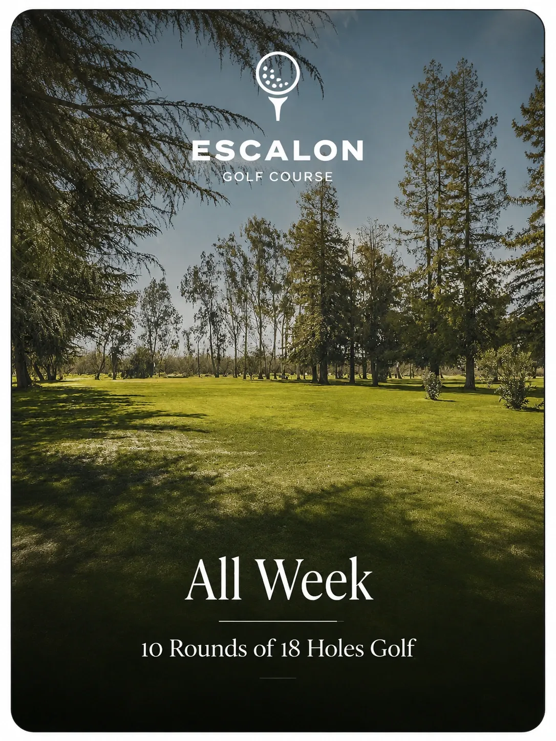 All Week 10 Rounds of 18 Holes Golf
