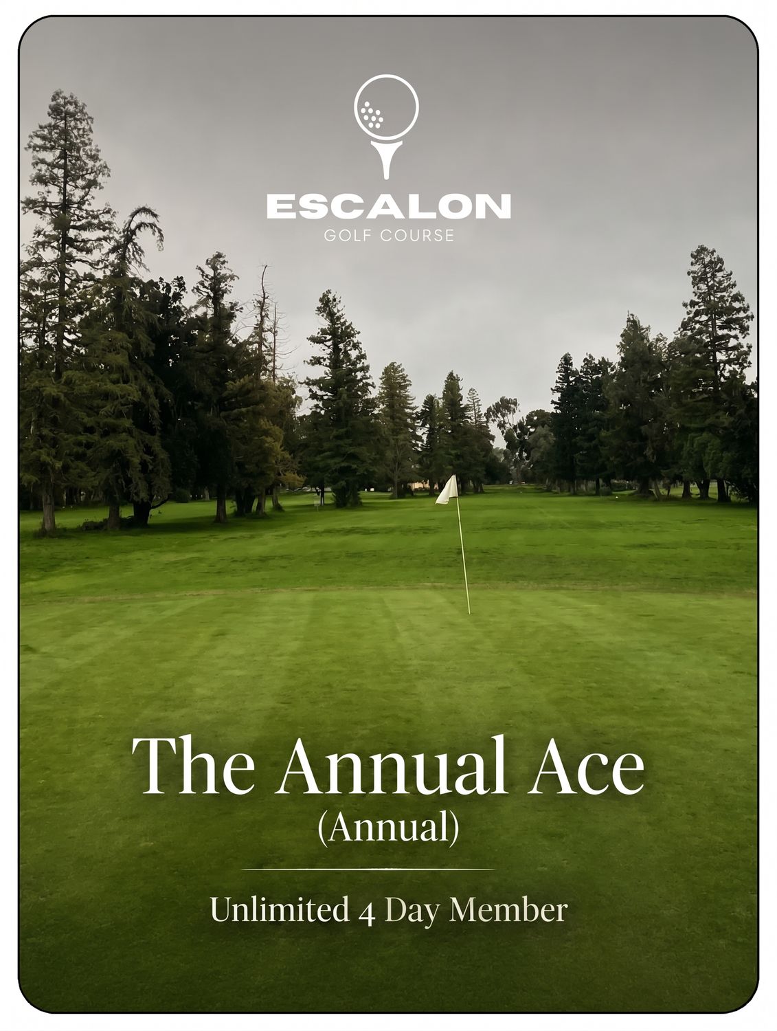 The Annual Ace (Annual) - Unlimited 4 Day Member