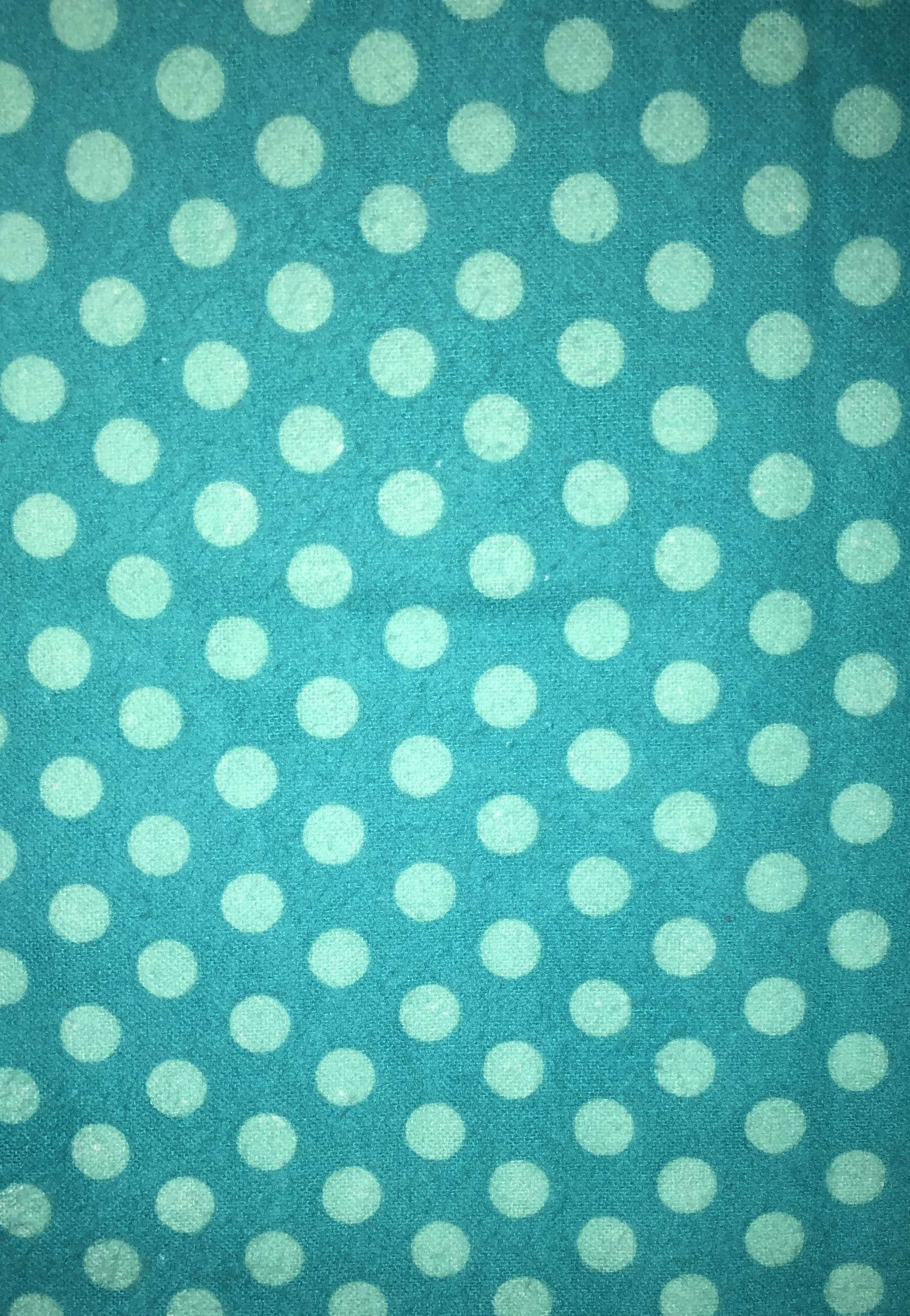 Aqua Polka Dot Flannel - 1/2m cut 55174