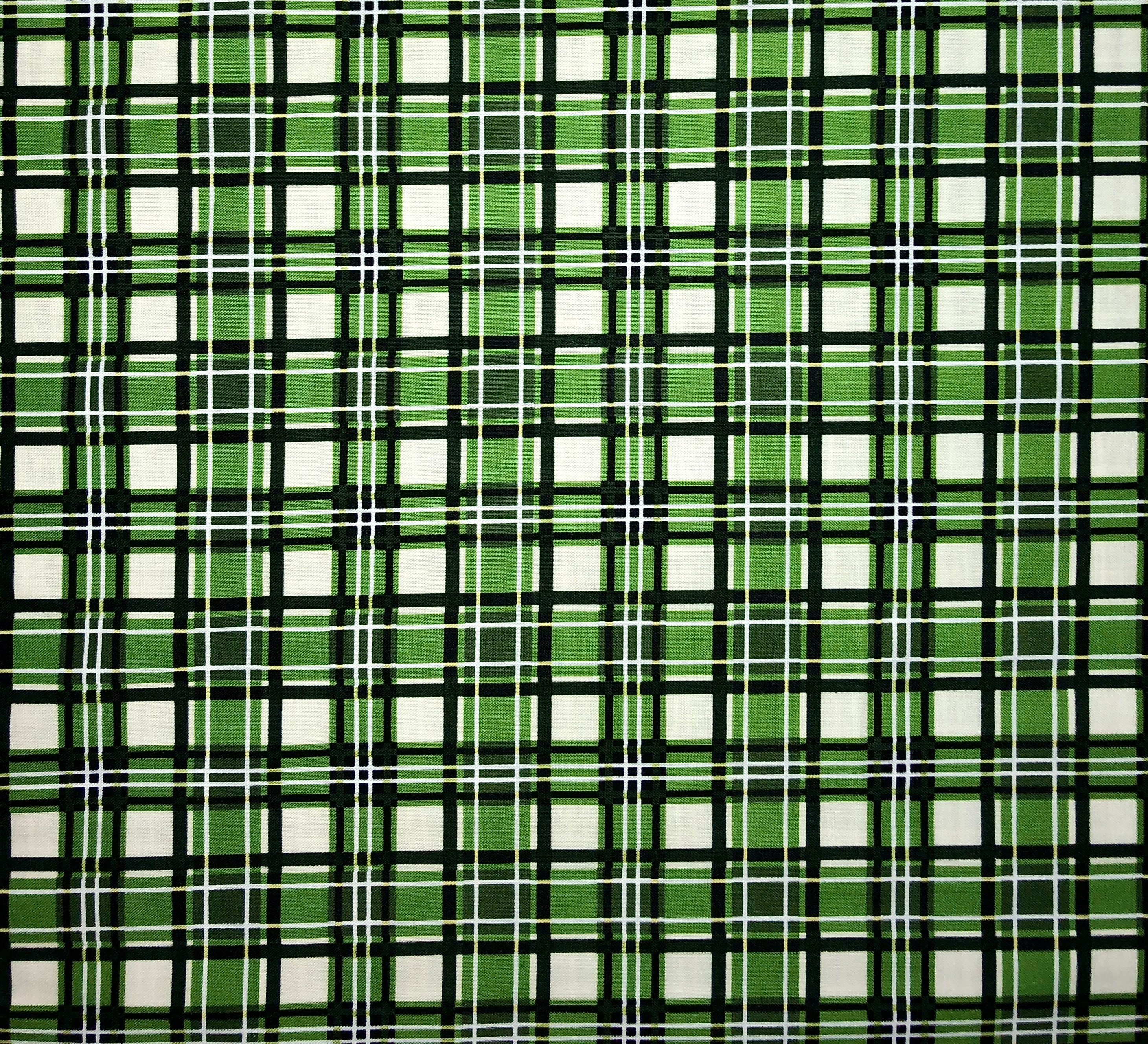 Green Plaid 55326