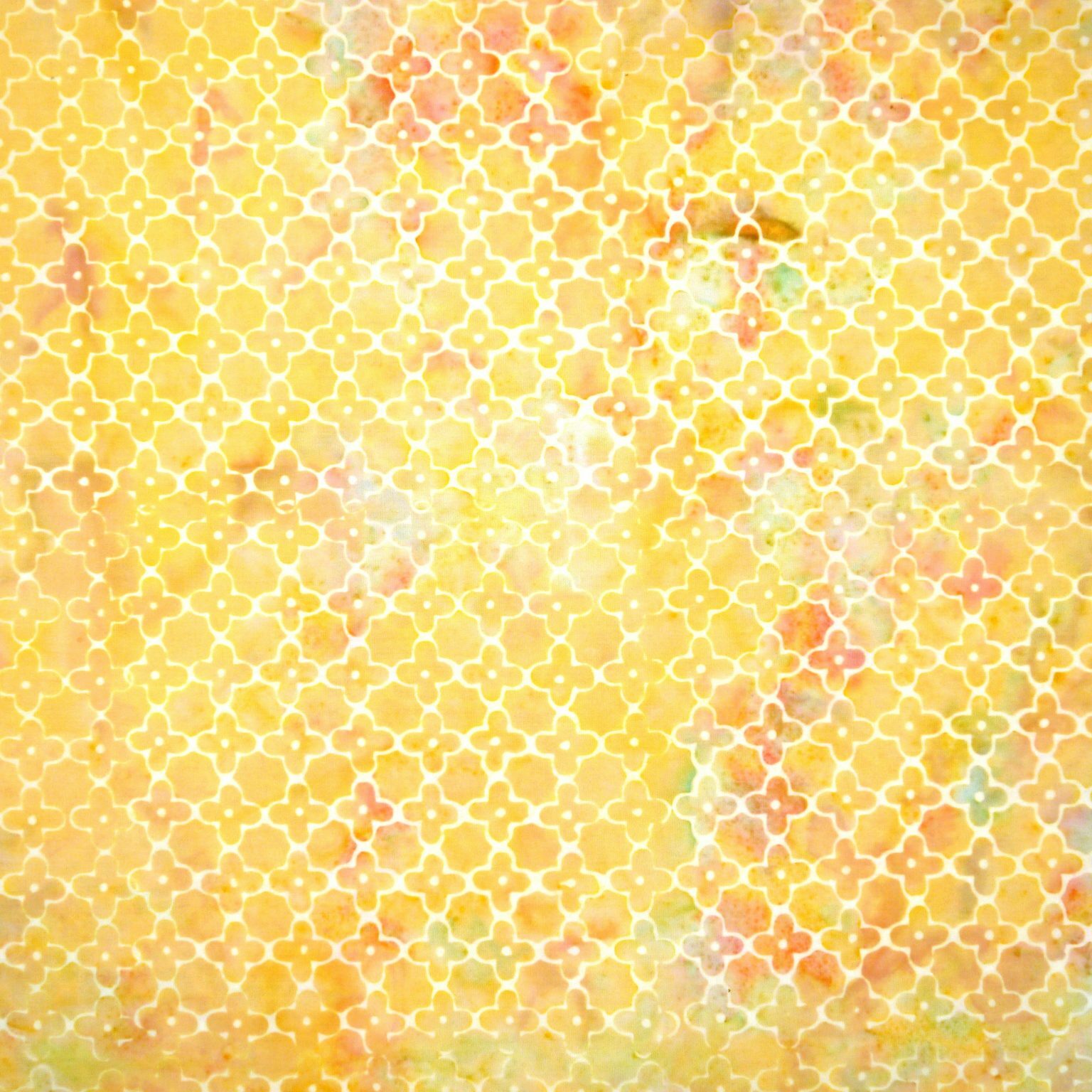 Salmonberry - Be Bliss - Batik - 1/2m cut 56237