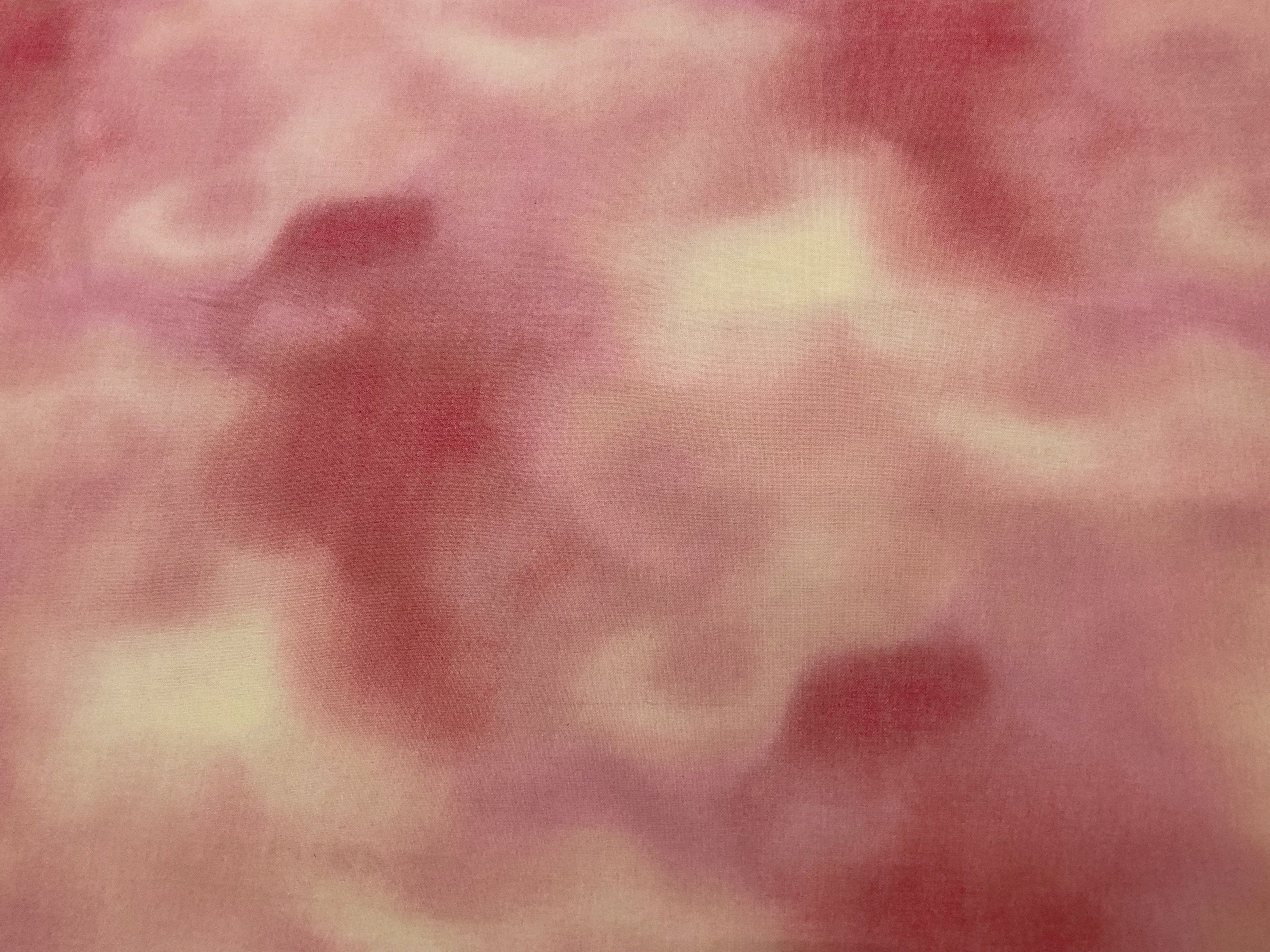 Sophia - Quilting Treasures - 1/2m cut 56324
