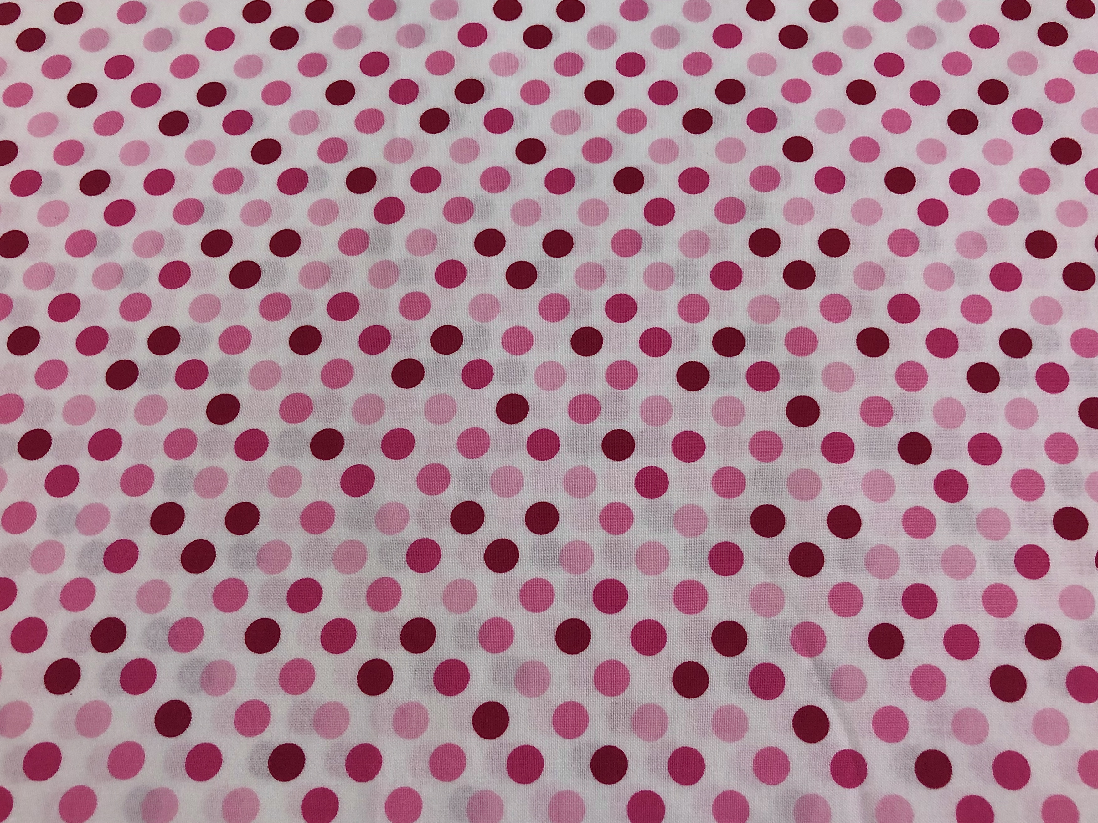 Spot On - Robert Kaufman - 1/2m cut 56325