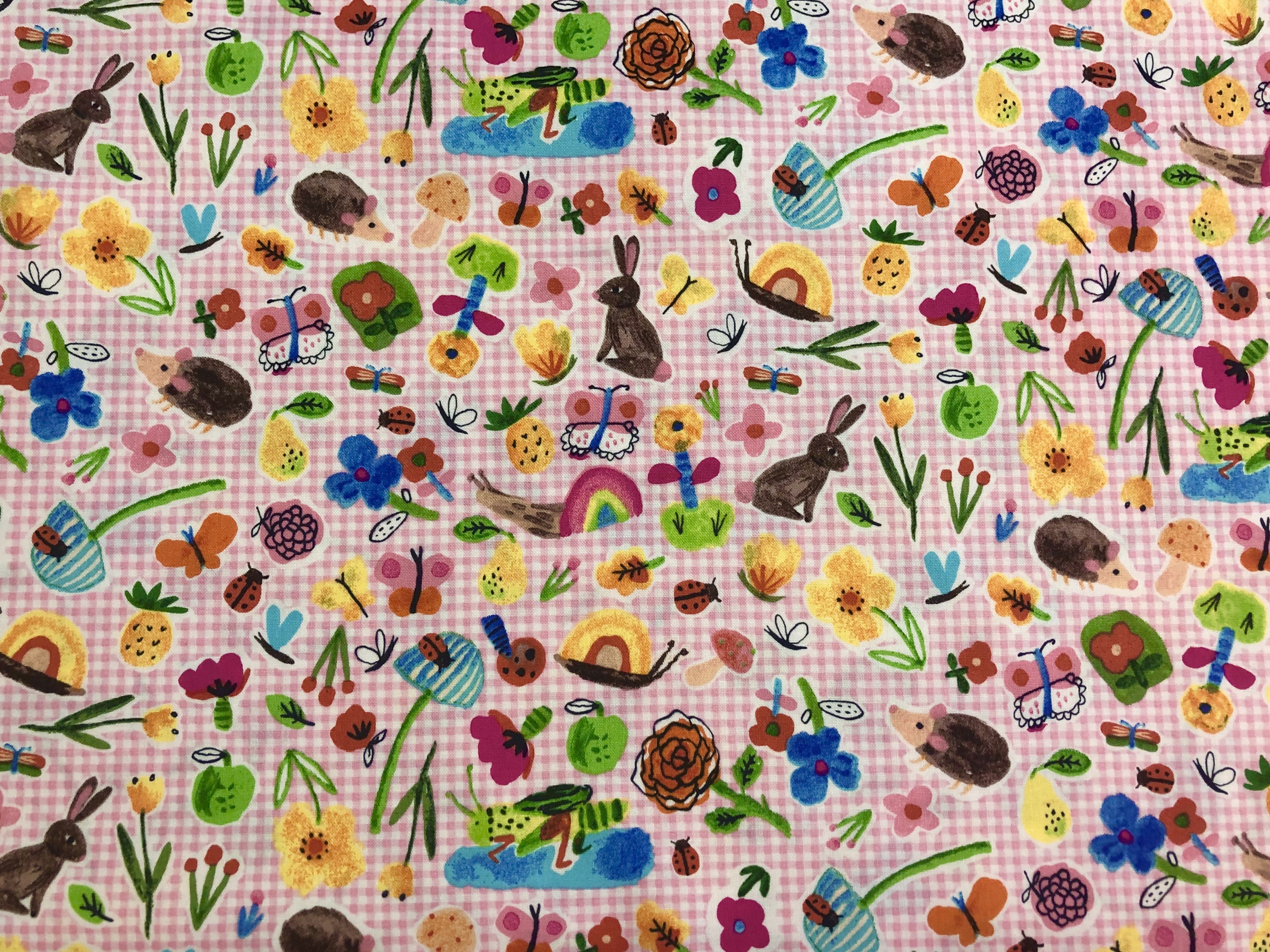 BFF’s - Windham Fabrics - 1/2m cut 56328