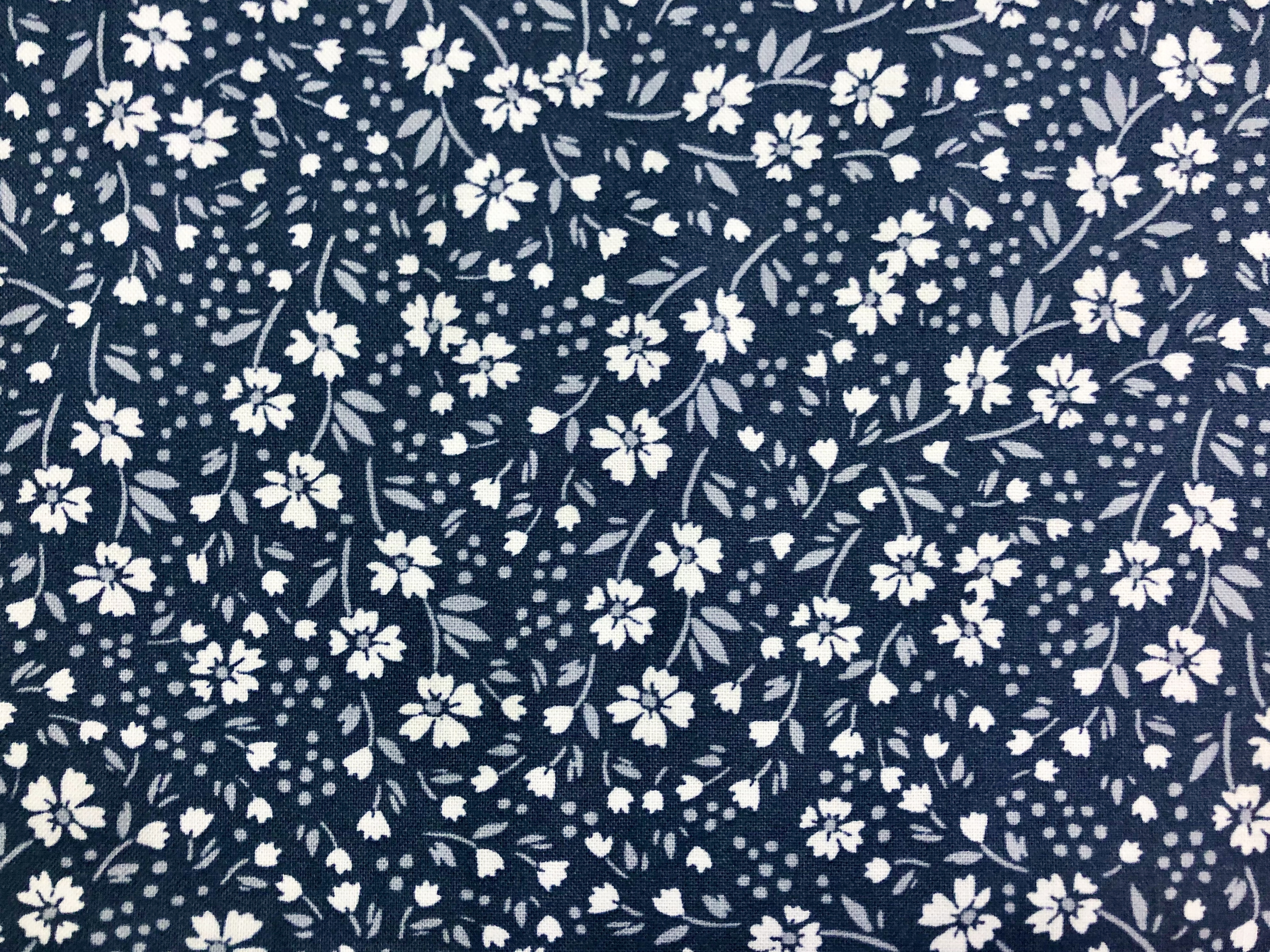 Star Gazer - Dear Stella - 1/2m cut 56352
