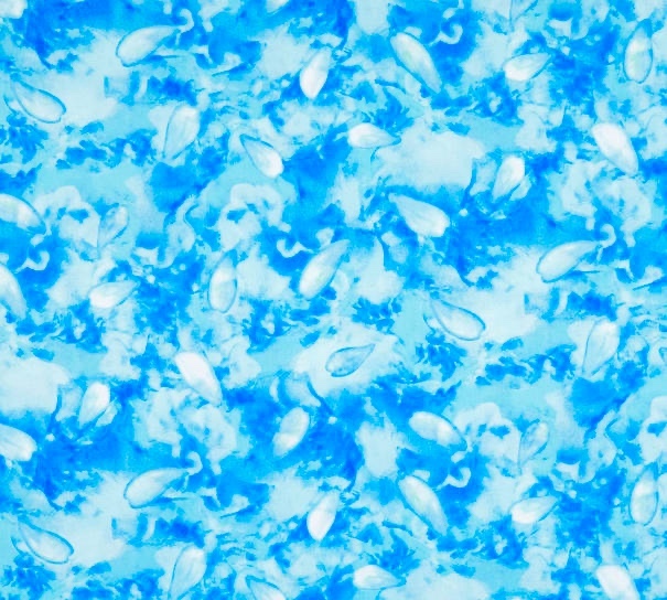 Colour Calypso - Kanvas - 1/2m cut 56369