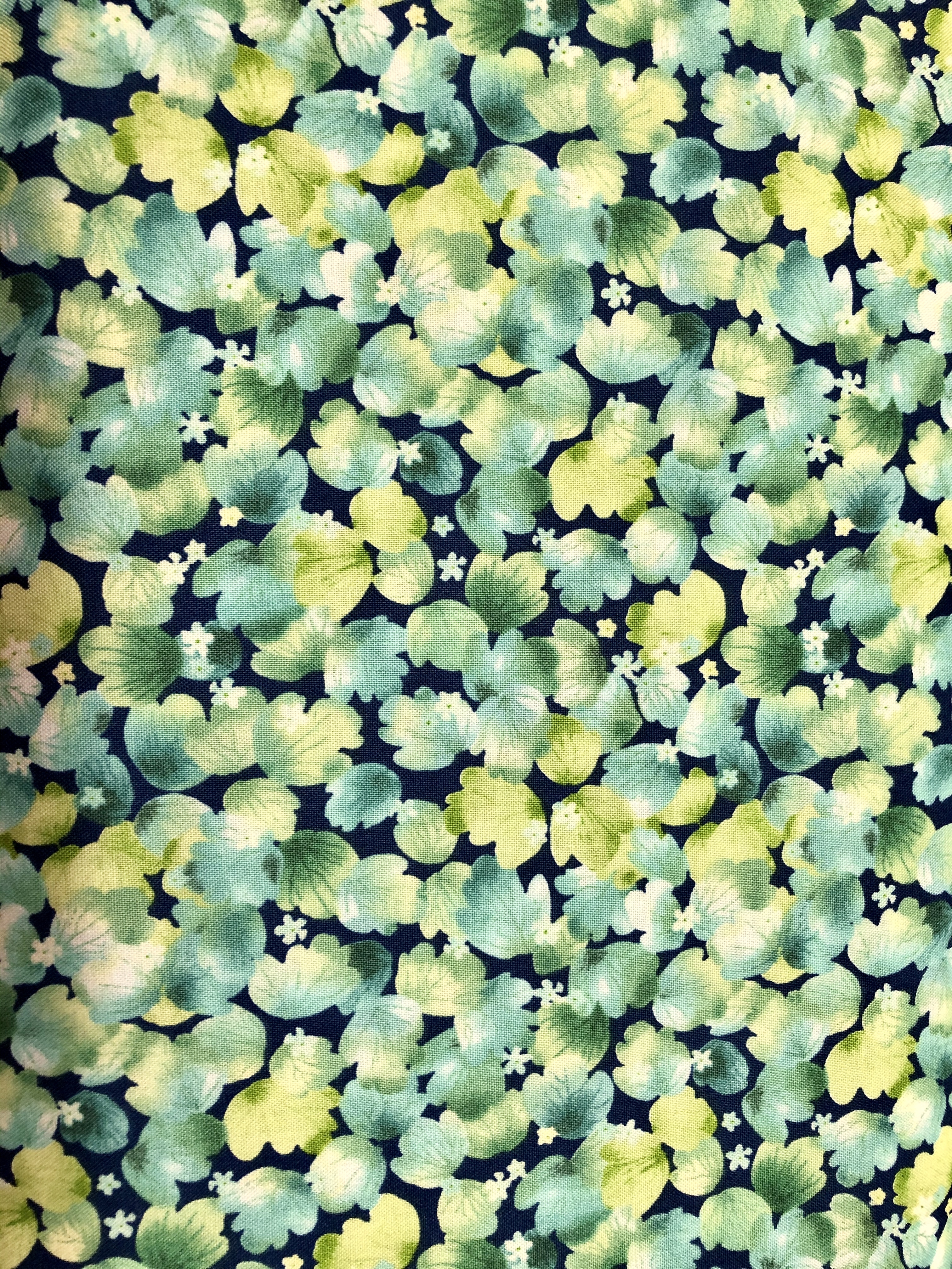 Delaney - Quilting Treasures - 1/2m cut 56367