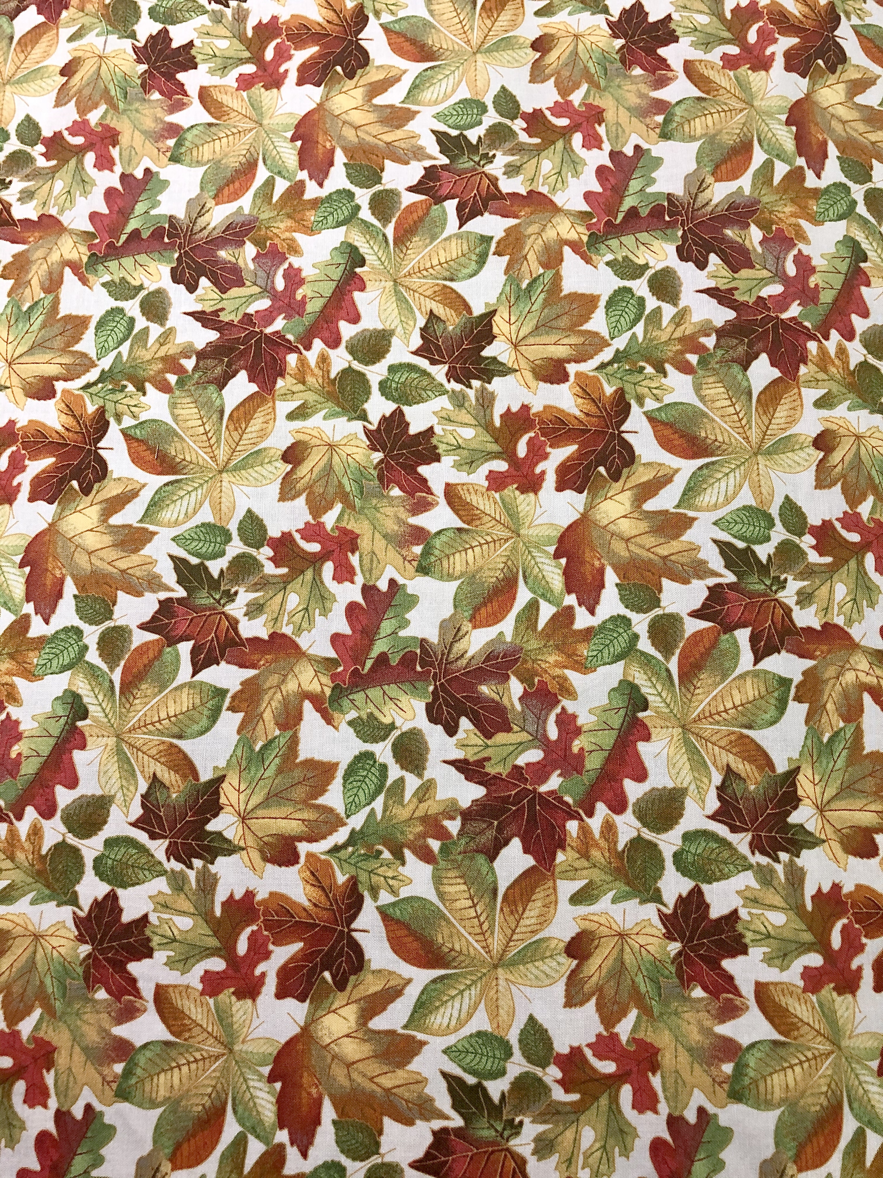 Leaves on Cream - 1/2m cut 56400