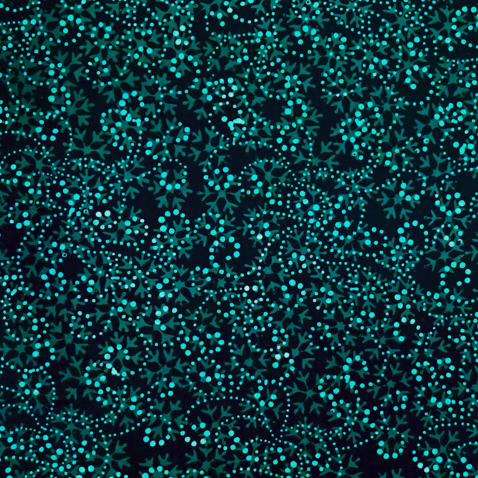 Black Quantum - Star Works - Batik - 1/2m cut 56573