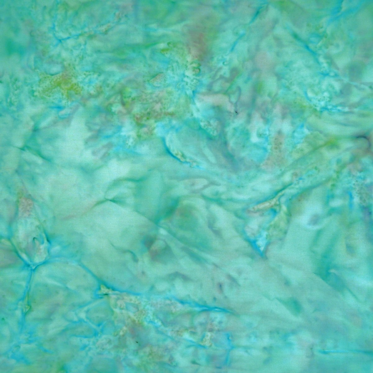 Aqua Gloss - Cupcake - Batik - 1/2m cut 56575