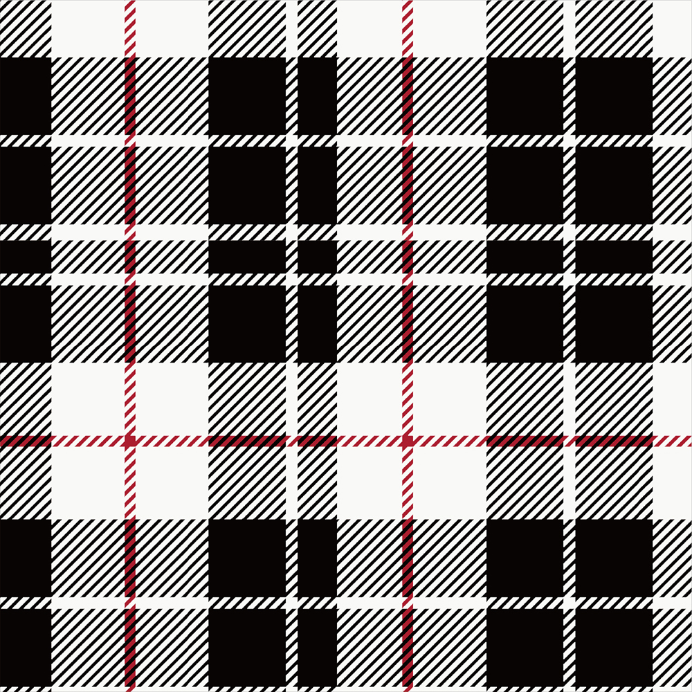 Yarn Dyed Flannel - Black and White Plaid - 1/2m cut 56721