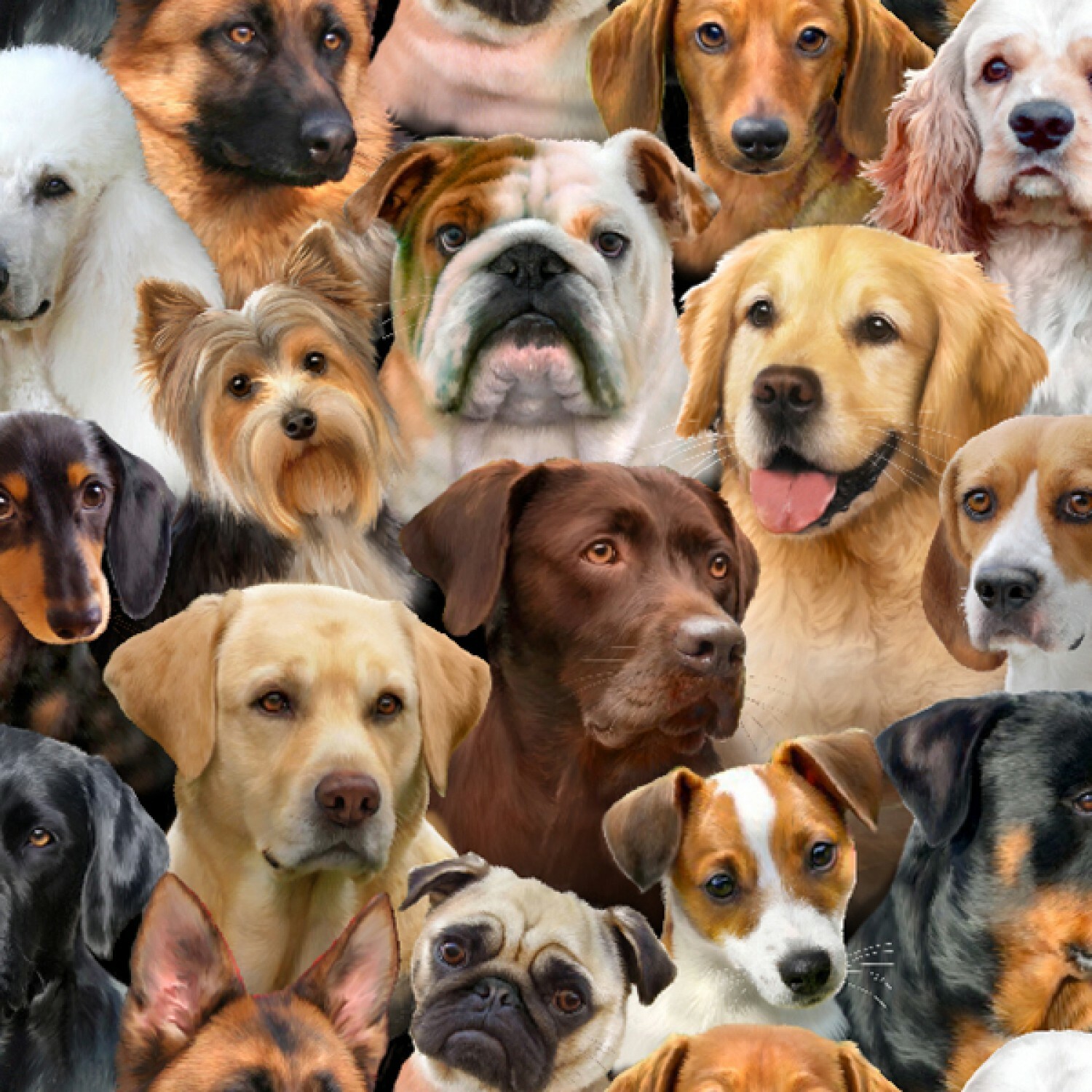 Dog Breeds #1 - 1/2m cut 57346
