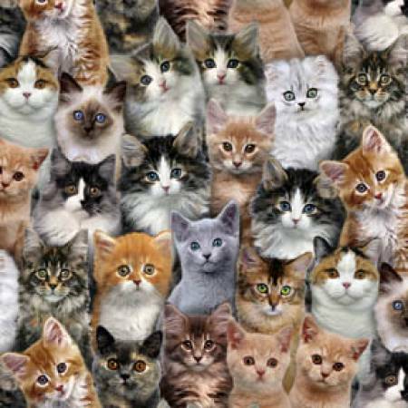 Adorable Pets - Kittens - 1/2m cut 57467