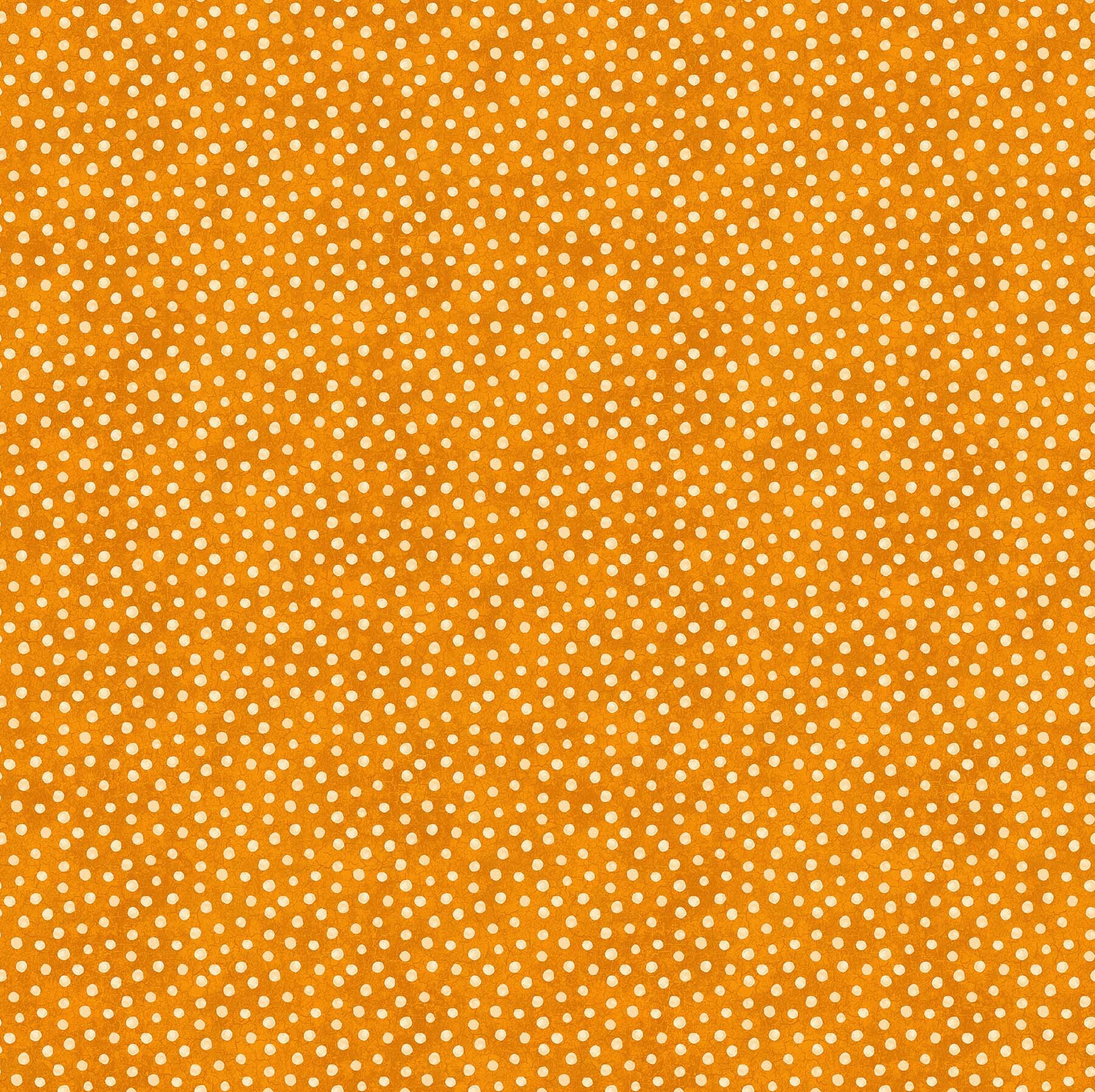 Black Cat Capers - Cream Dots on Orange - 1/2m cut 57895