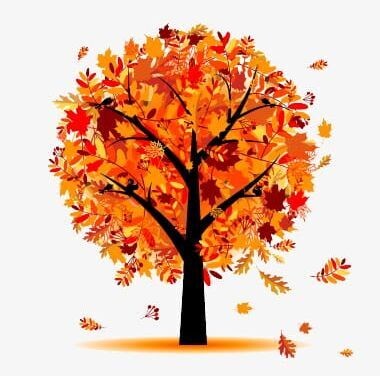 Fall Fabrics
