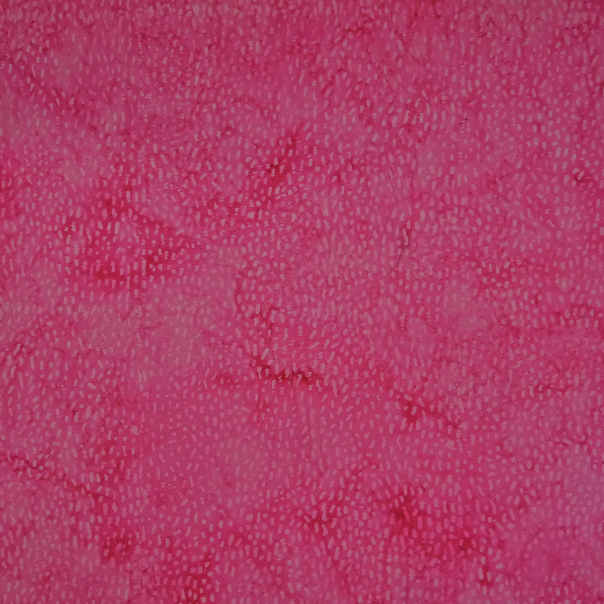 Orchard Pink - Batik - 1/2m cut 58920