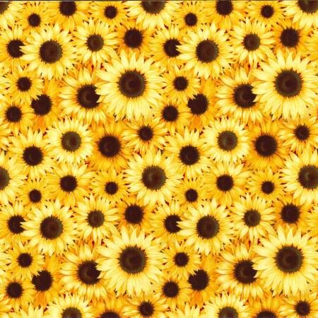 Sunflowers - 1/2m cut