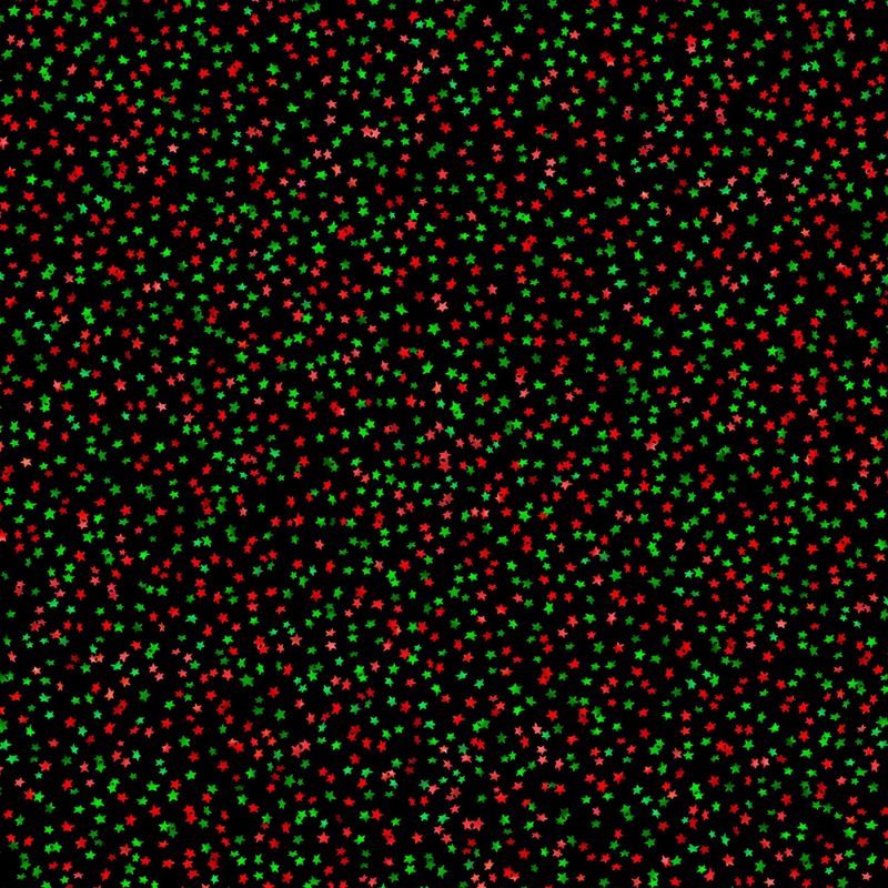 Sweet Holidays - Sprinkles - 1/2m cut