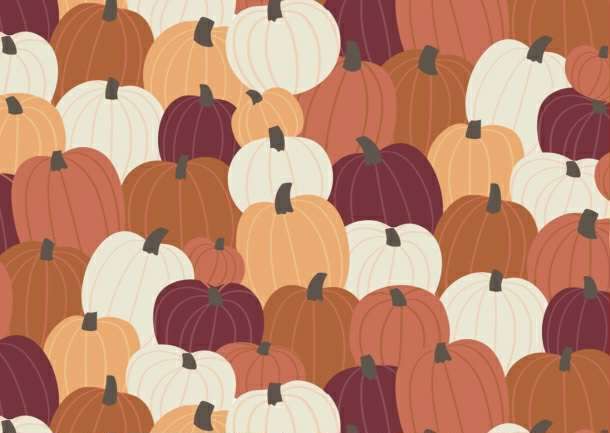 Pumpkin Spice Season - Pumpkin Party - 1/2m cut