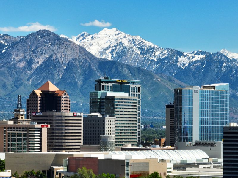 2024 Fall Conference: Understanding, Using, and Disputing Implicit Denials - NACVSO Price