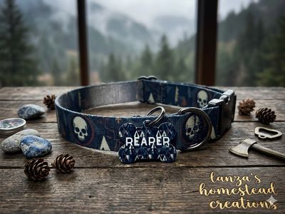 Dog Collar with Dog Tag