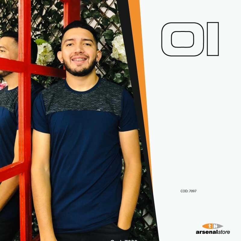Camiseta The One