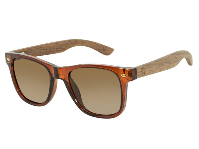 LENTES DREAMLAND BF5003-C8 MALIBU BROWN BRIGHT