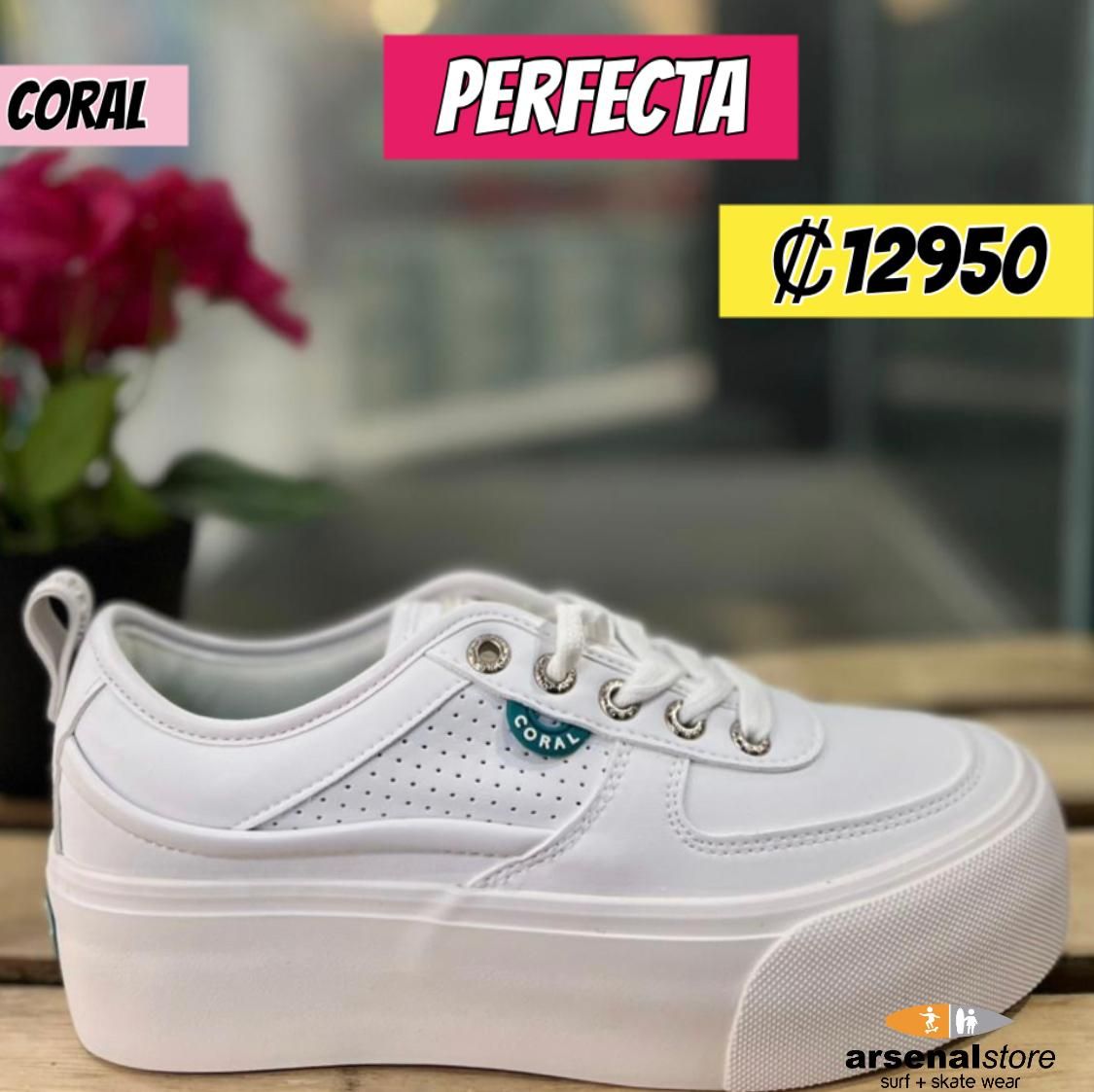 TENIS CORAL AKIRA ALL WHITE TENIS CORAL AKIRA ALL WHITE