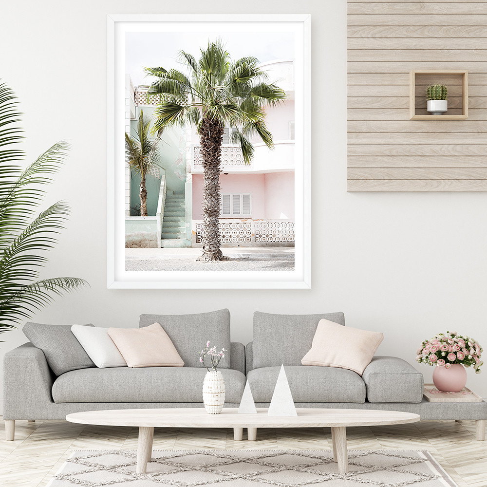 Cape Palm