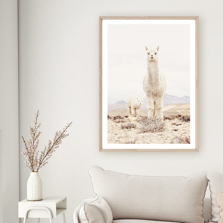 Alpaca Mumma