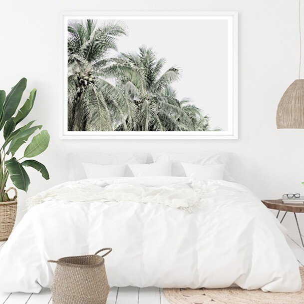 Tropical Palms