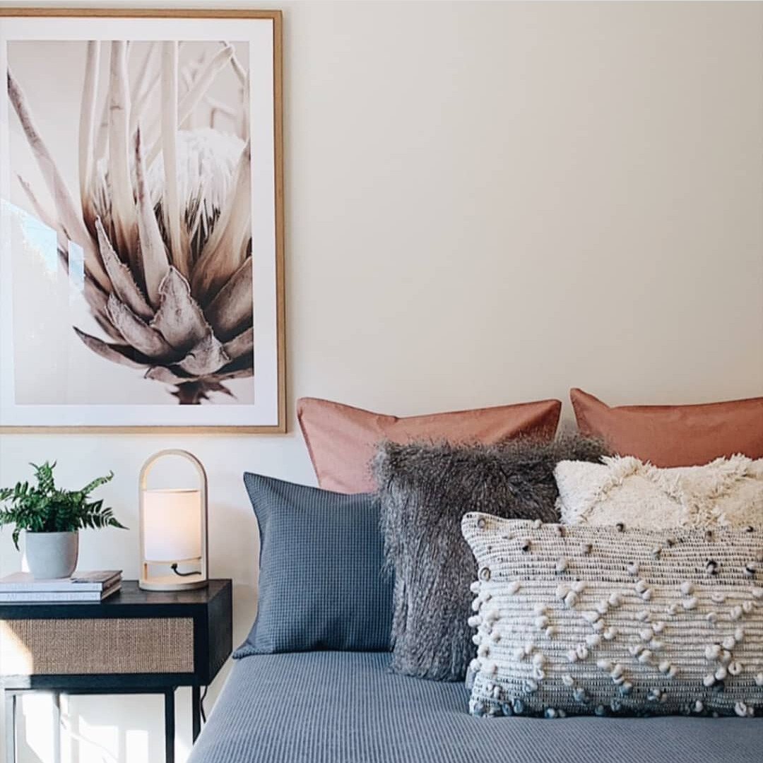Nude Protea